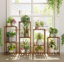 Plant Stands